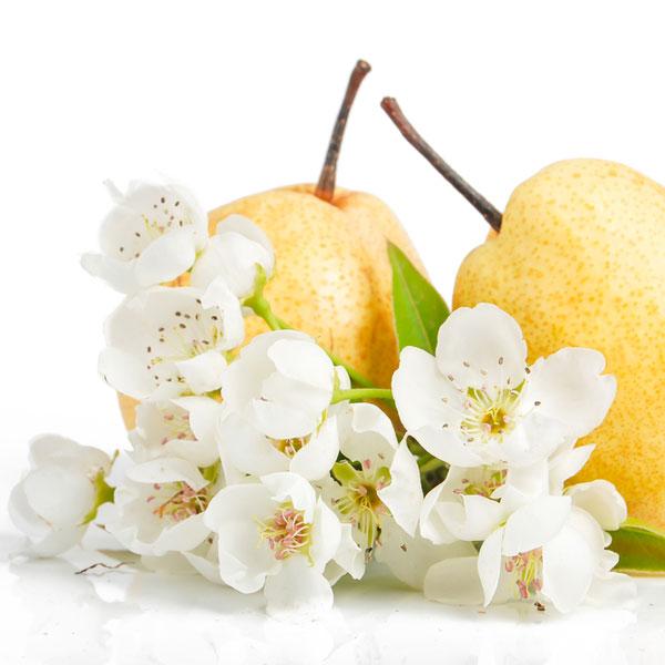 Pear Blossom - Top Note Fragrance Oil