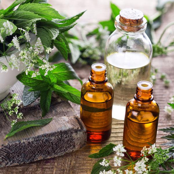 Amber Teak & Moss - Fragrance Oil