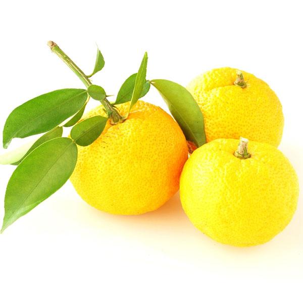 Yuzu Fruit - Fragrance Oil