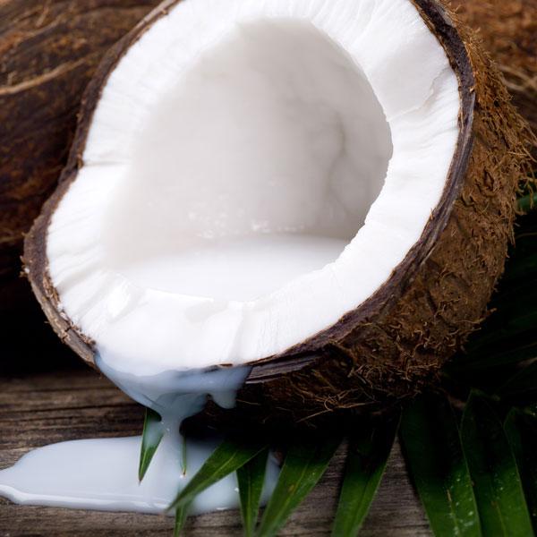 Coconut Cream - Top Note Fragrance Oil