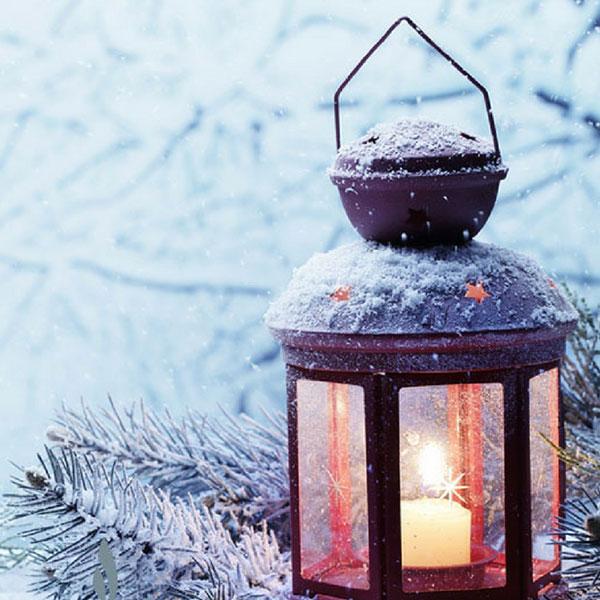 Winter's Night Dream - Diffuser Fragrance