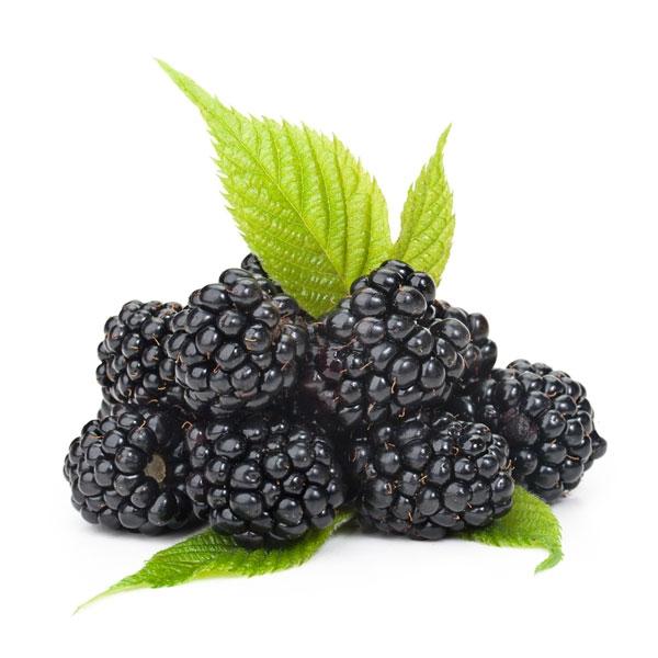 Black Raspberry Sugar - Diffuser Fragrance
