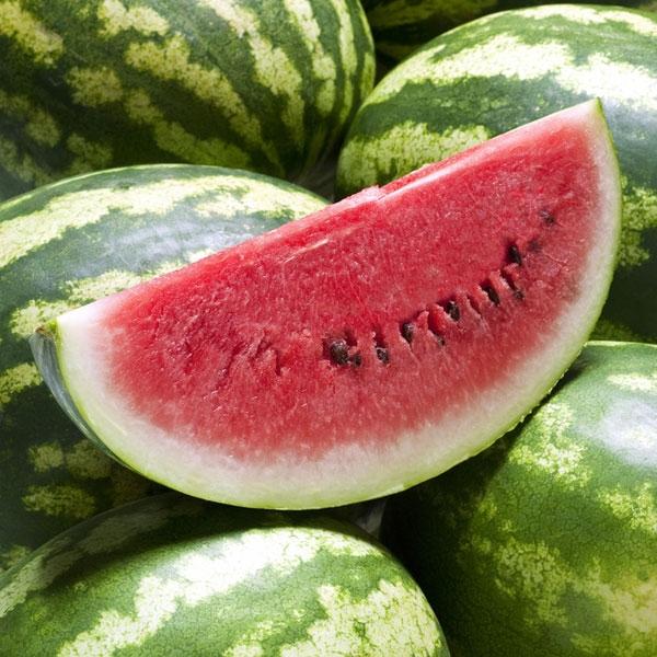 Watermelon - Diffuser Fragrance